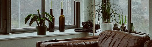 Cosy living room with a leather sofa beside a window