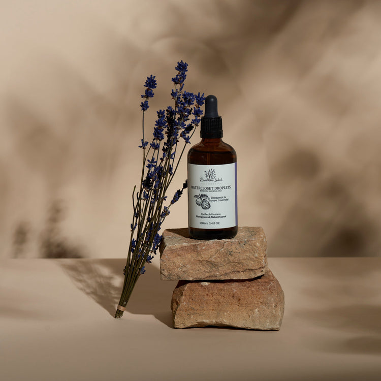 Household Cleaning & Care