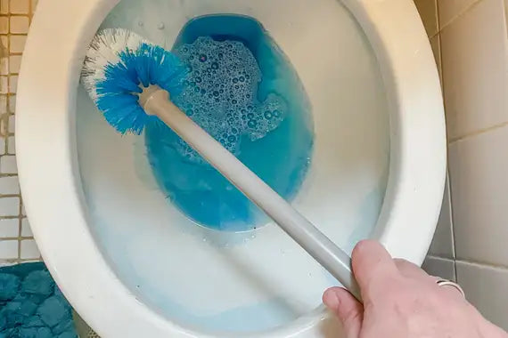 Toilet Brushes