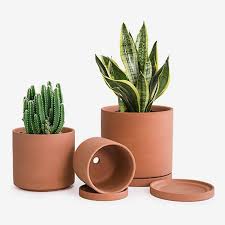 Pots & Planters