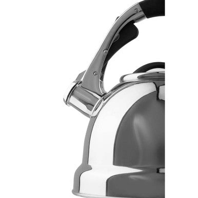 Zion Mirrored 3.2 Litre Whistling Kettle
