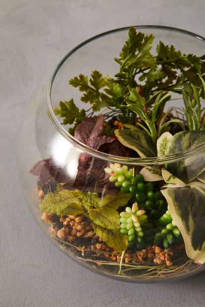 Fiori Large Glass Pot Mixed Succulent
