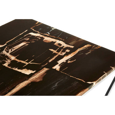 Relic dark petrified wood coffee table with gold brass base, close up view 2