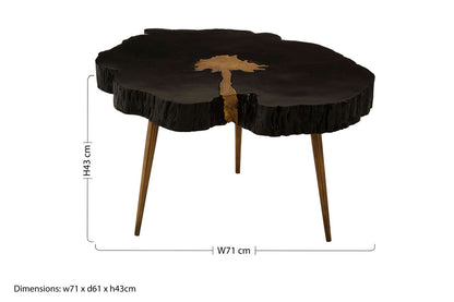 Asamra black acacia gold legs coffee table, styled living room 2