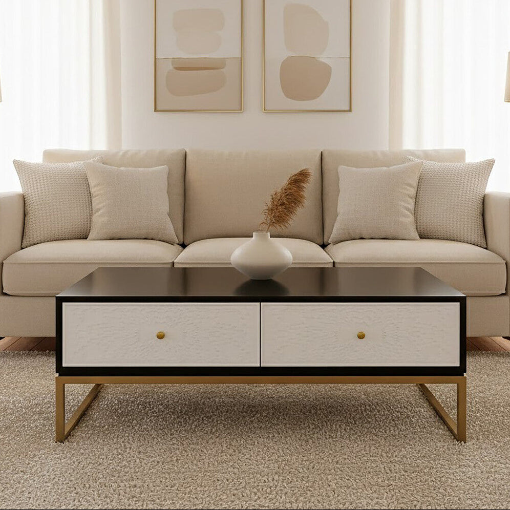 Dumas black and white 4 drawer coffee table, front view