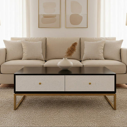 Dumas black and white 4 drawer coffee table, front view