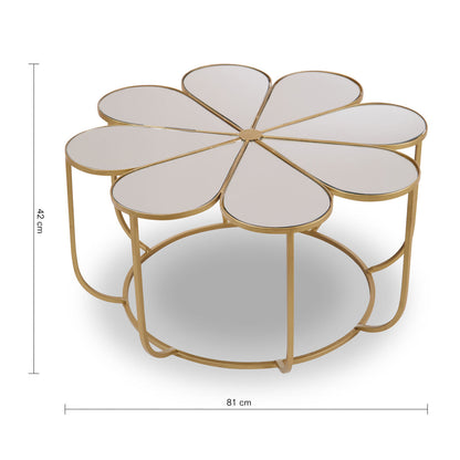 Rabia mirrored petal design coffee table, additional view
