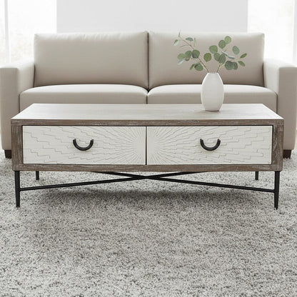 Milan grey wash elm wood 2 drawer coffee table, front view