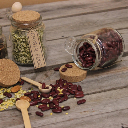 General Store Glass Spice Jars with Cork Lids and Spoons, Set of 6