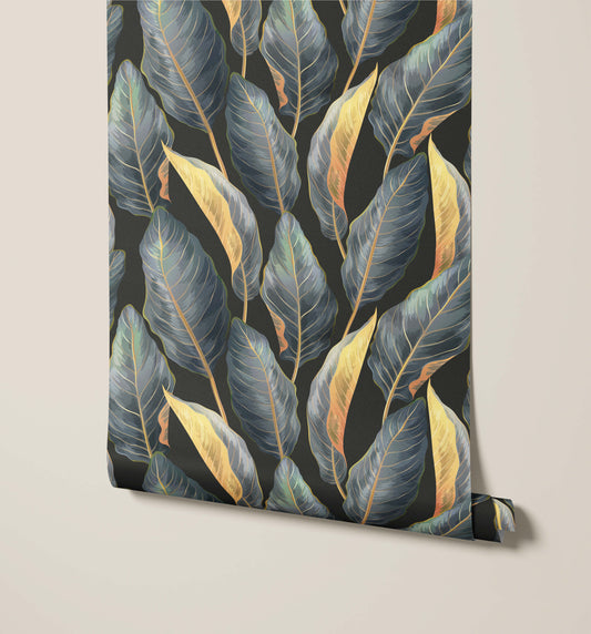 Bobbi Beck Calathea Wallpaper