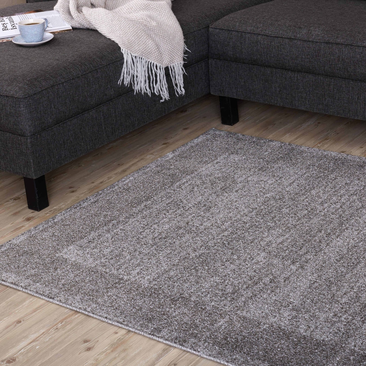 Ephesus Modern Grey Rug | 7437G
