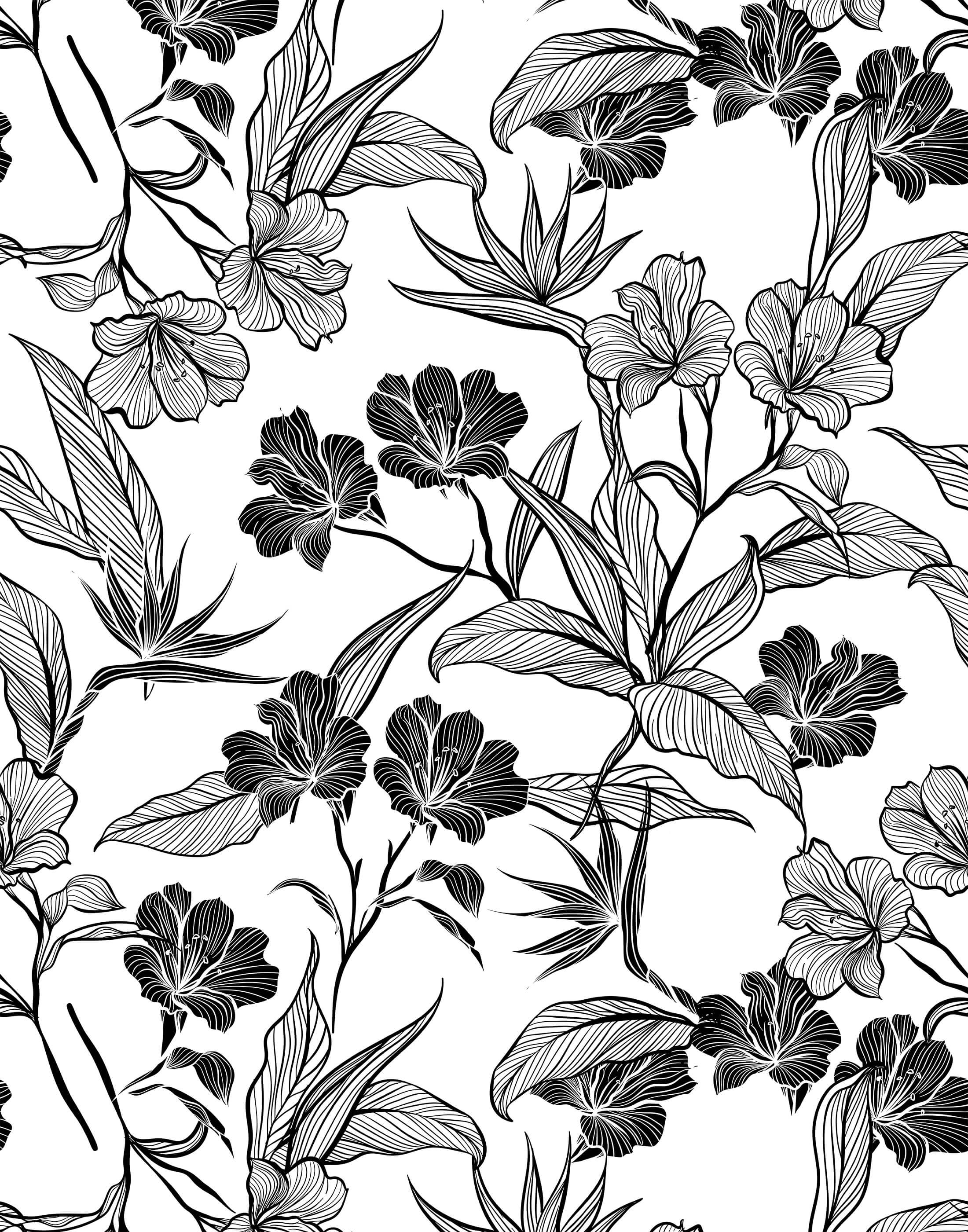 Contour Botanical Wallpaper | Bold Floral Outline Design | UK – Proleno