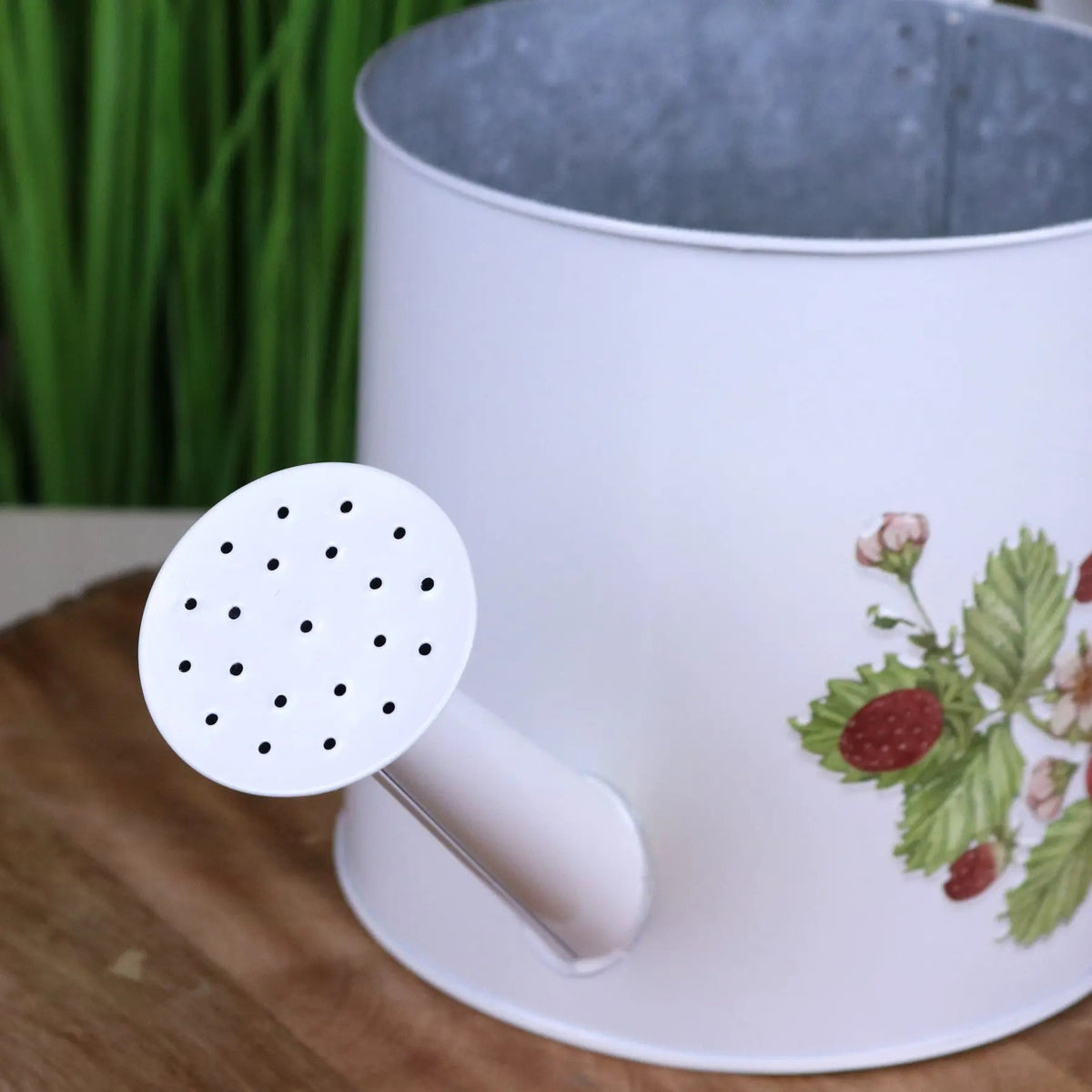 Thaniya Strawberry Field Metal Watering Can Planter