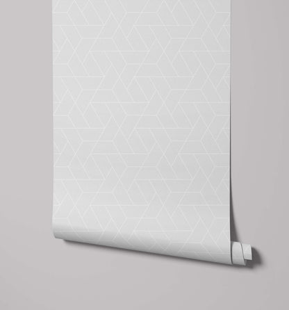 Bobbi Beck Trive Wallpaper