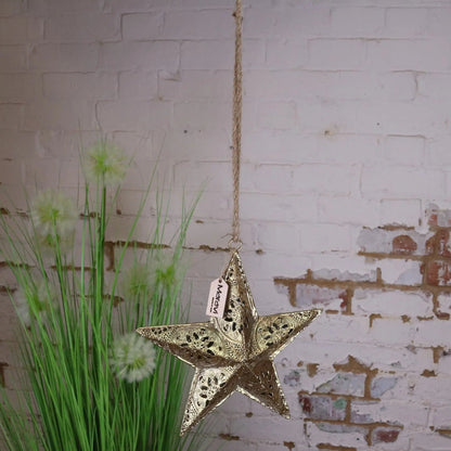 Varnika Gold Metal Hanging Star Decoration