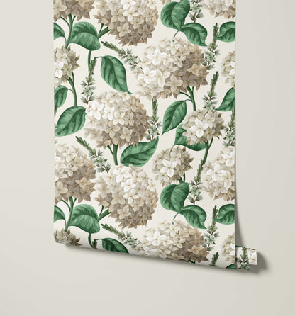 Roll of floral wallpaper with hydrangea flowers on a light background