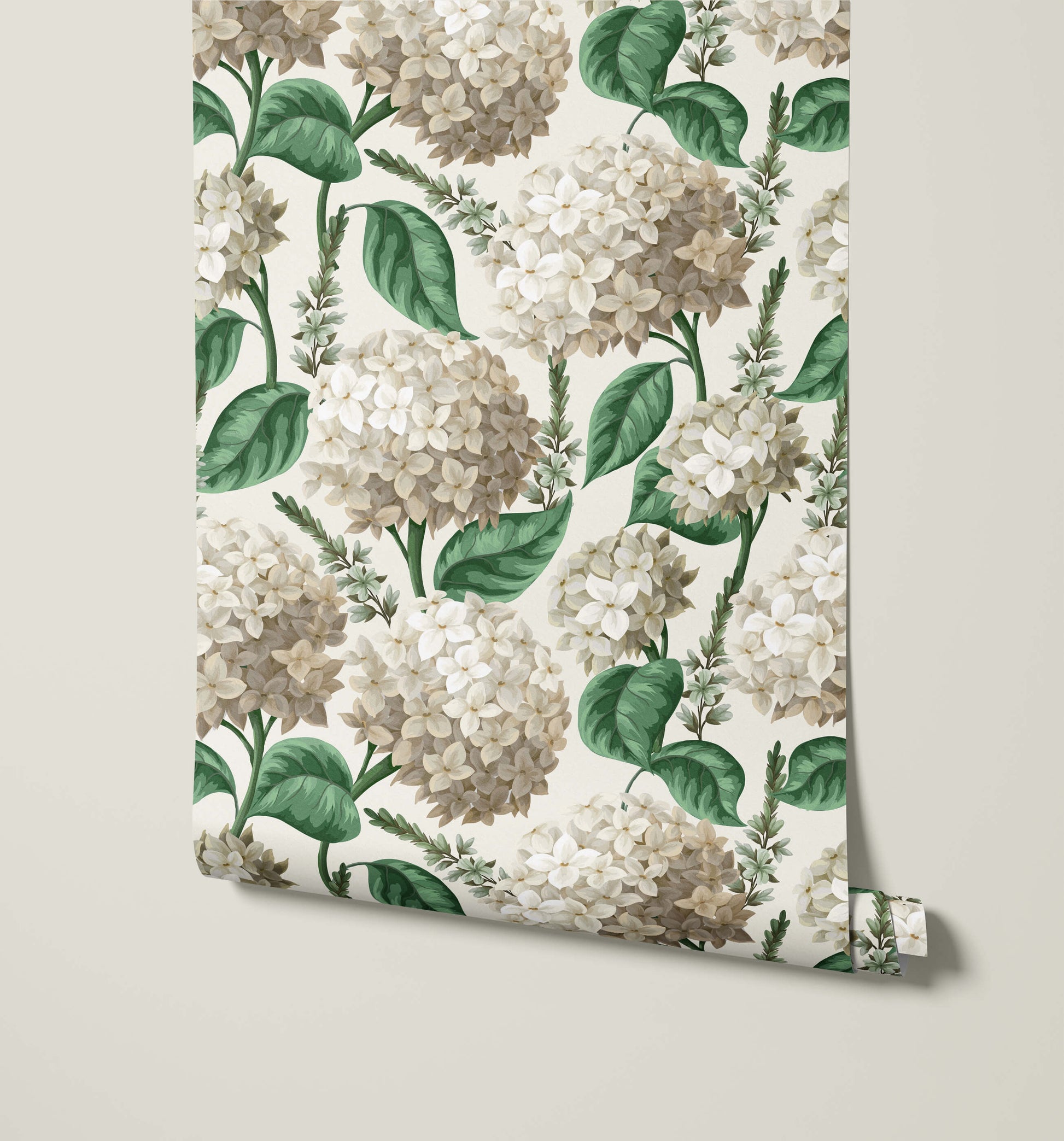 Roll of floral wallpaper with hydrangea flowers on a light background