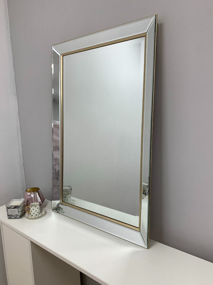 Pagazzi Iona Silver & Gold Wall Mirror 60 x 90 cm