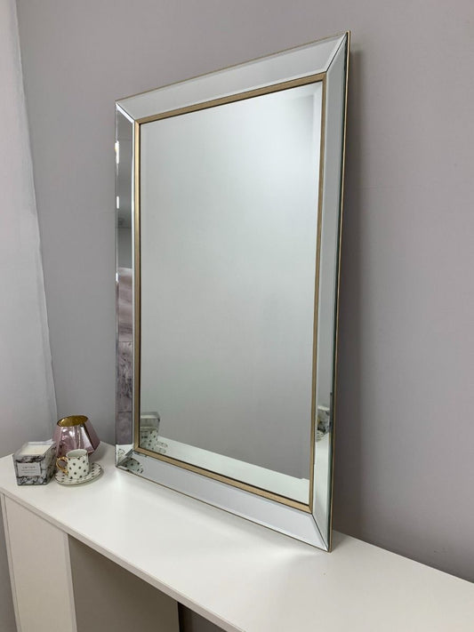 Pagazzi Iona Silver & Gold Wall Mirror 60 x 90 cm