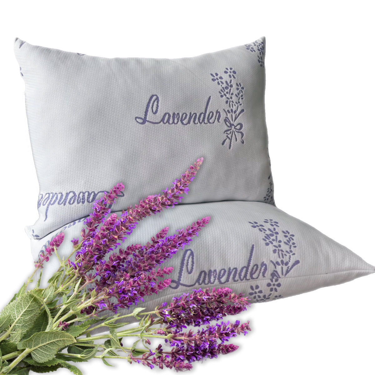 Olivia Rocco Lavender Infused Hotel Pillow Medium Support 50 x 75 cm