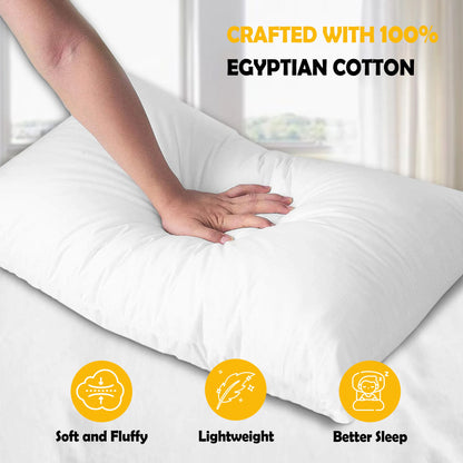 Olivia Rocco Egyptian Cotton Blend Pillows Pack of 2