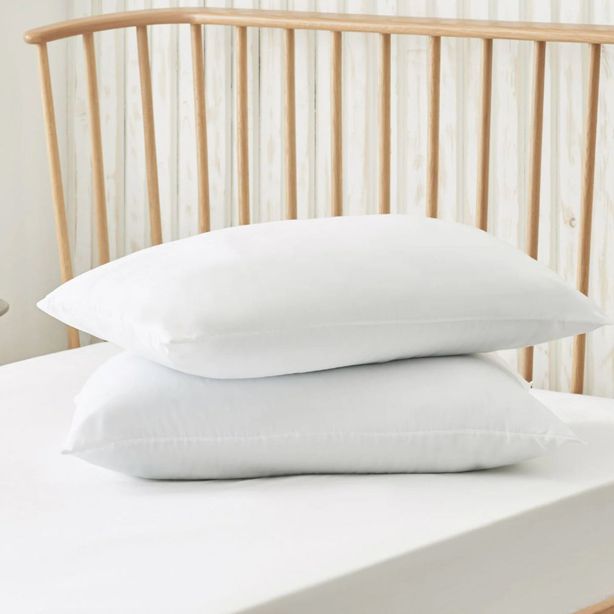 Olivia Rocco Egyptian Cotton Blend Pillows Pack of 2