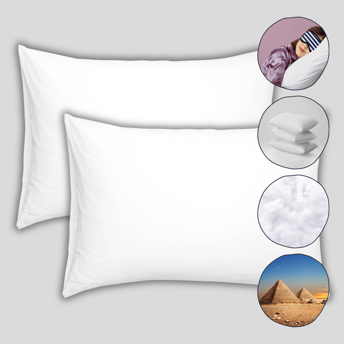 Olivia Rocco Egyptian Cotton Blend Pillows Pack of 2
