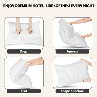 Olivia Rocco Hollowfibre Hotel Pillows Pack of 2