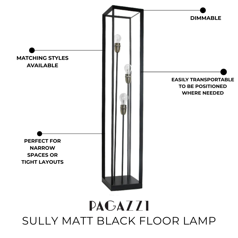 Pagazzi Sully 3 Light Caged Floor Lamp Matt Black 120 cm